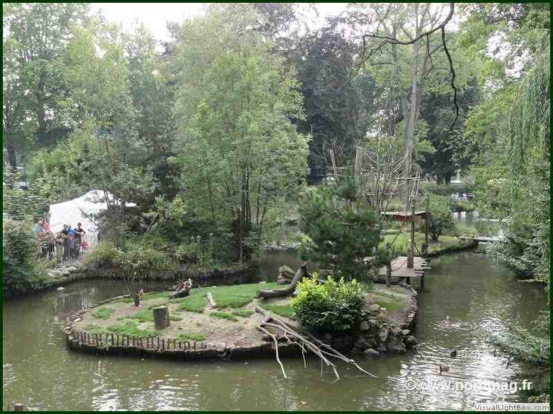lille, zoo